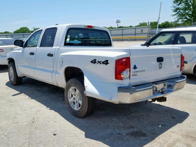 1D7HW48N75S253570 - 2005 DODGE DAKOTA QUA WHITE photo 3