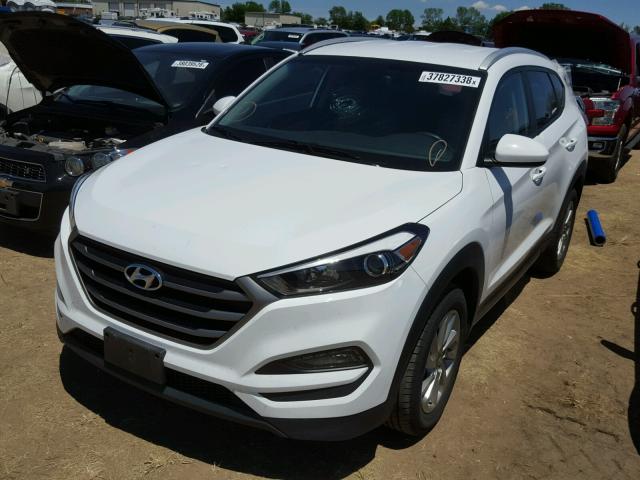 KM8J3CA41GU113467 - 2016 HYUNDAI TUCSON LIM WHITE photo 2