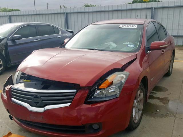 1N4CL21E99C182065 - 2009 NISSAN ALTIMA HYB RED photo 2