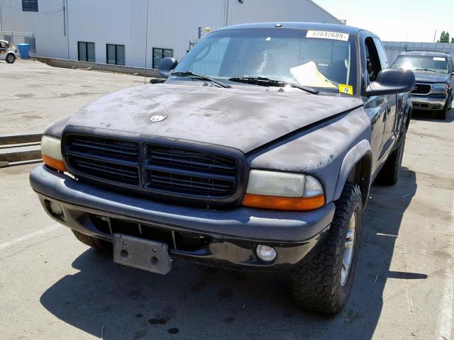 1B7GG22N21S290326 - 2001 DODGE DAKOTA BLACK photo 2