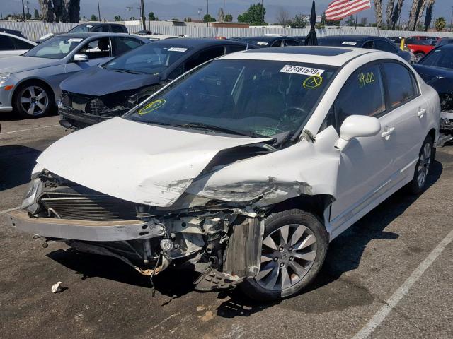 1HGFA16909L001486 - 2009 HONDA CIVIC EXL WHITE photo 2