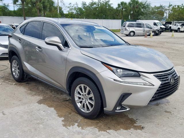 JTJYARBZ2K2117115 - 2019 LEXUS NX 300 SILVER photo 1