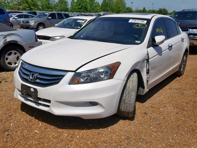 1HGCP3F83CA031010 - 2012 HONDA ACCORD EXL WHITE photo 2