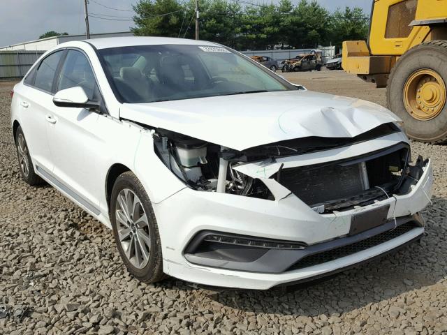 5NPE34AF7FH087981 - 2015 HYUNDAI SONATA SPO WHITE photo 1