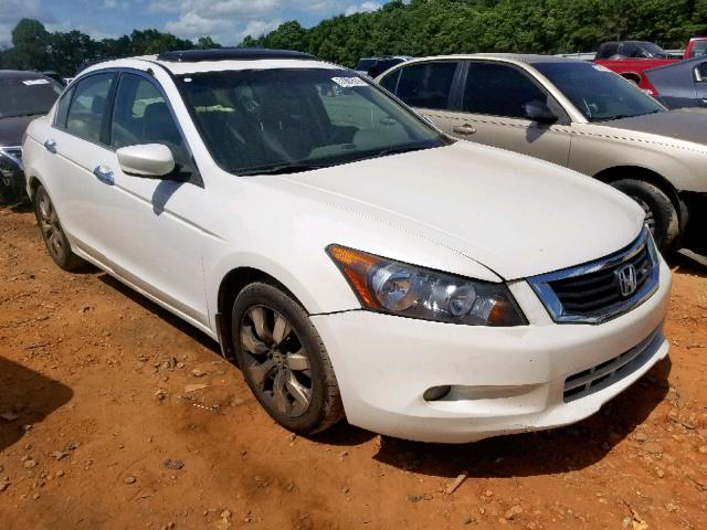 5KBCP3F80AB011429 - 2010 HONDA ACCORD EXL WHITE photo 1