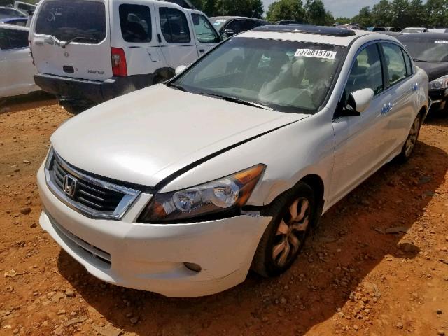 5KBCP3F80AB011429 - 2010 HONDA ACCORD EXL WHITE photo 2