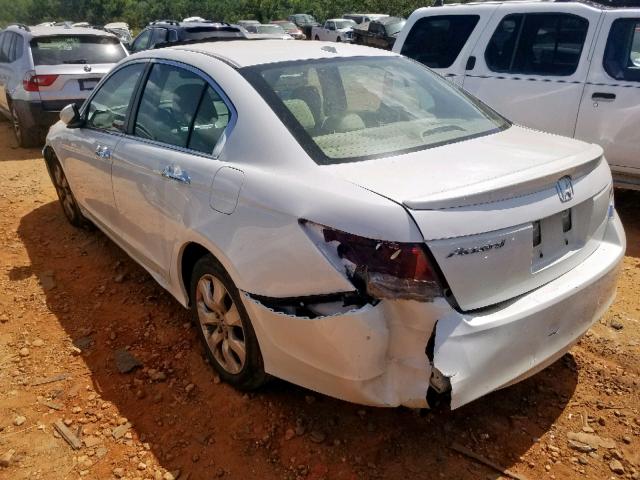 5KBCP3F80AB011429 - 2010 HONDA ACCORD EXL WHITE photo 3