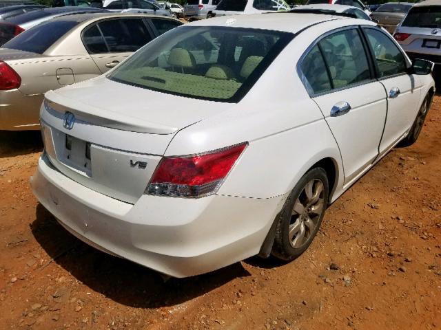 5KBCP3F80AB011429 - 2010 HONDA ACCORD EXL WHITE photo 4