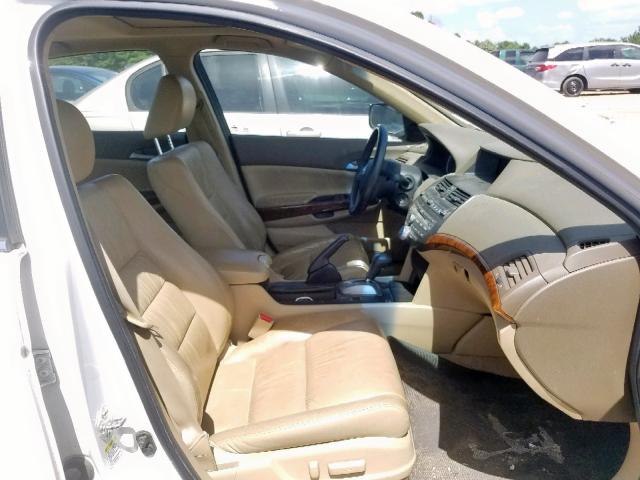 5KBCP3F80AB011429 - 2010 HONDA ACCORD EXL WHITE photo 5