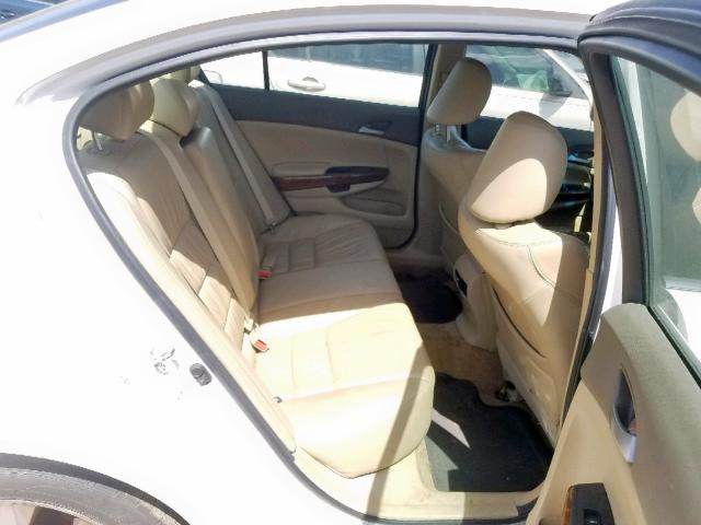 5KBCP3F80AB011429 - 2010 HONDA ACCORD EXL WHITE photo 6