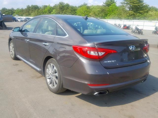 5NPE34AF5GH431311 - 2016 HYUNDAI SONATA SPO BROWN photo 3