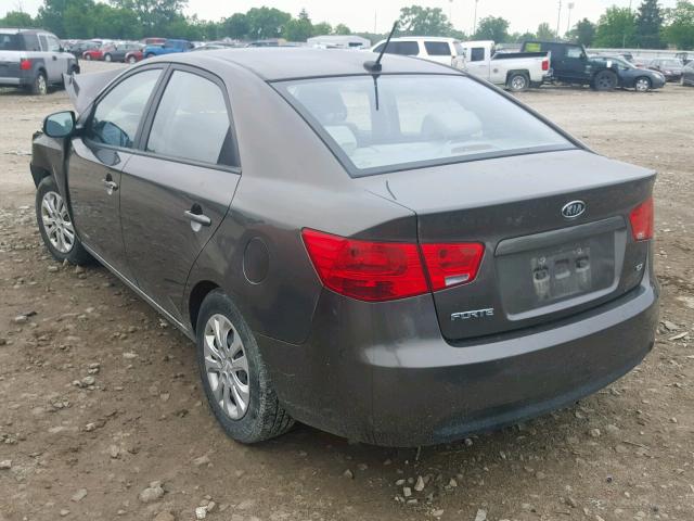 KNAFU4A21A5097846 - 2010 KIA FORTE EX BROWN photo 3