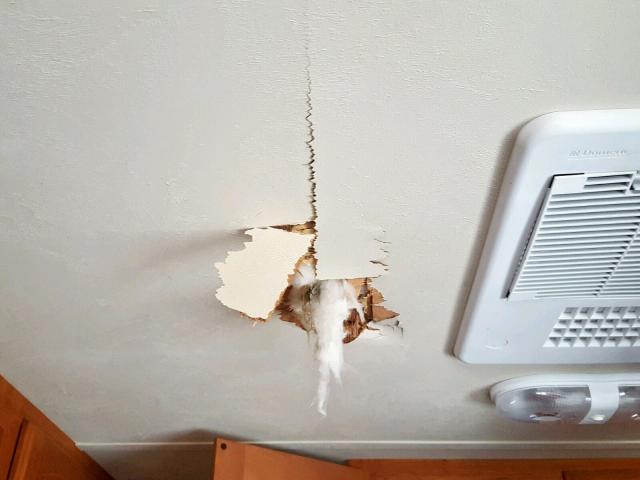 4X4TSML20AM019339 - 2010 SALM FOREST RIV GRAY photo 8