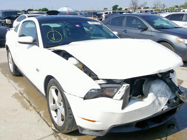 1ZVBP8CH5A5119314 - 2010 FORD MUSTANG GT WHITE photo 1