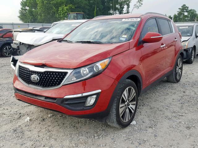 KNDPC3AC6E7556280 - 2014 KIA SPORTAGE E RED photo 2