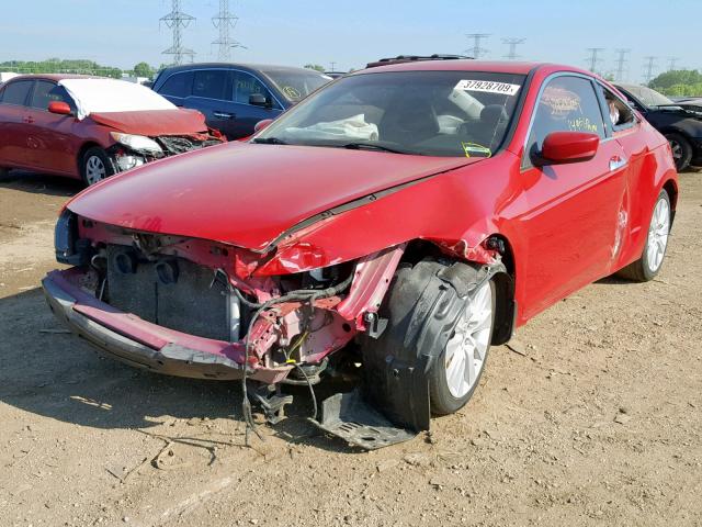 1HGCS2B87AA001178 - 2010 HONDA ACCORD EXL RED photo 2