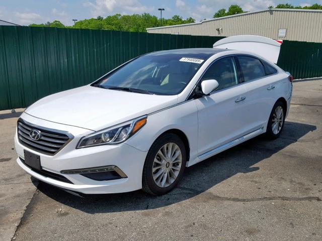 5NPE34AF3FH085502 - 2015 HYUNDAI SONATA SPO WHITE photo 2