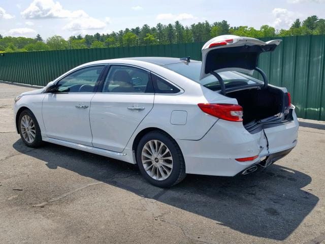 5NPE34AF3FH085502 - 2015 HYUNDAI SONATA SPO WHITE photo 3