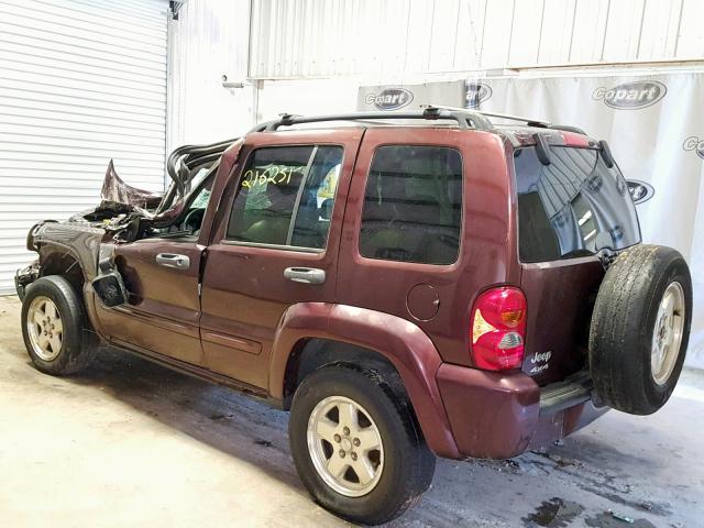 1J4GL58K44W172635 - 2004 JEEP LIBERTY LI PURPLE photo 10