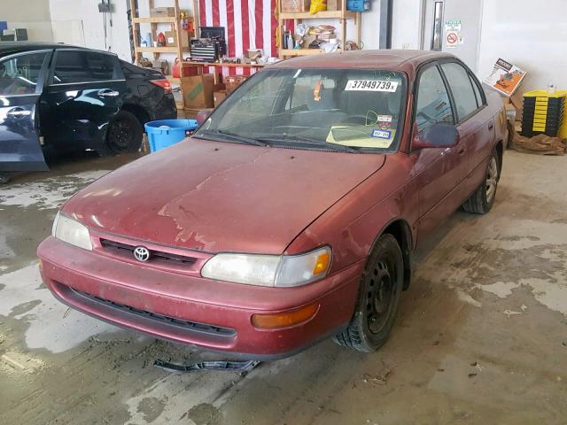 1NXBB02E1TZ377828 - 1996 TOYOTA COROLLA DX MAROON photo 2