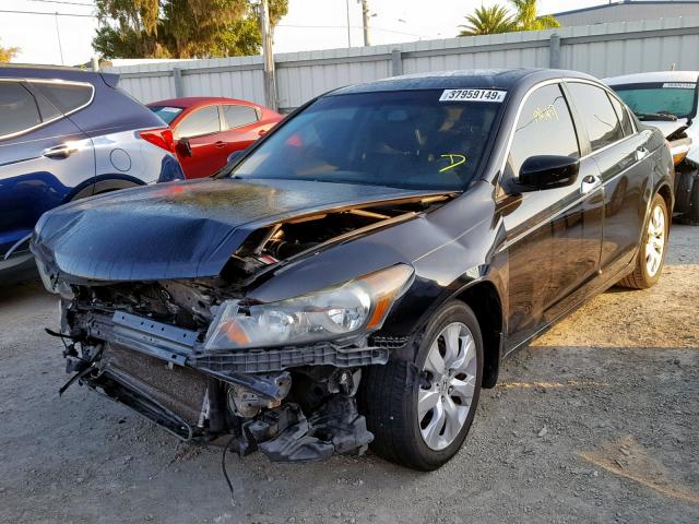 1HGCP36848A080868 - 2008 HONDA ACCORD EXL BLACK photo 2