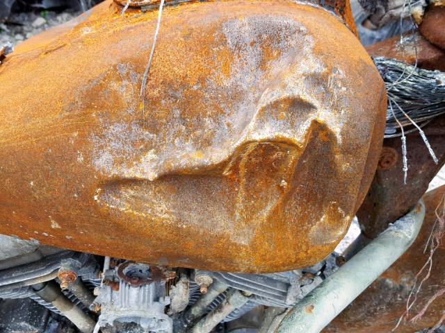 5HD1FC4187Y694088 - 2007 HARLEY-DAVIDSON FLHTCUI BURN photo 10