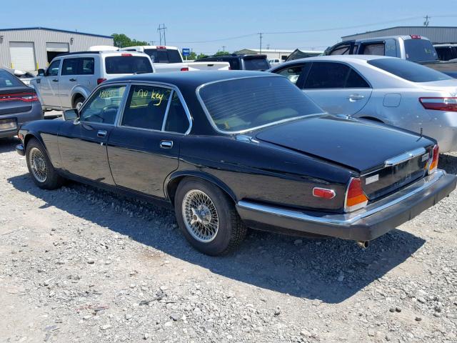 SAJAY1347DC356582 - 1983 JAGUAR XJ6 VANDEN BLACK photo 3