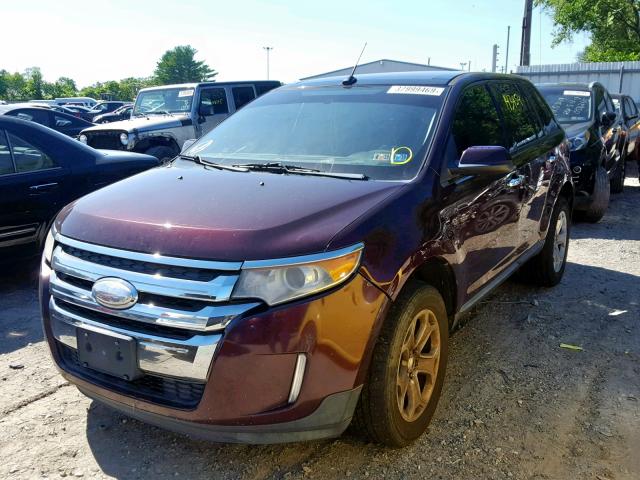 2FMDK4JC9BBB31436 - 2011 FORD EDGE SEL BURGUNDY photo 2