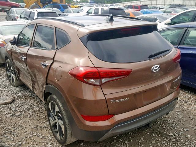 KM8J33A23GU084505 - 2016 HYUNDAI TUCSON LIM TAN photo 3