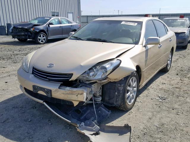 JTHBF30G736009543 - 2003 LEXUS ES 300 GOLD photo 2