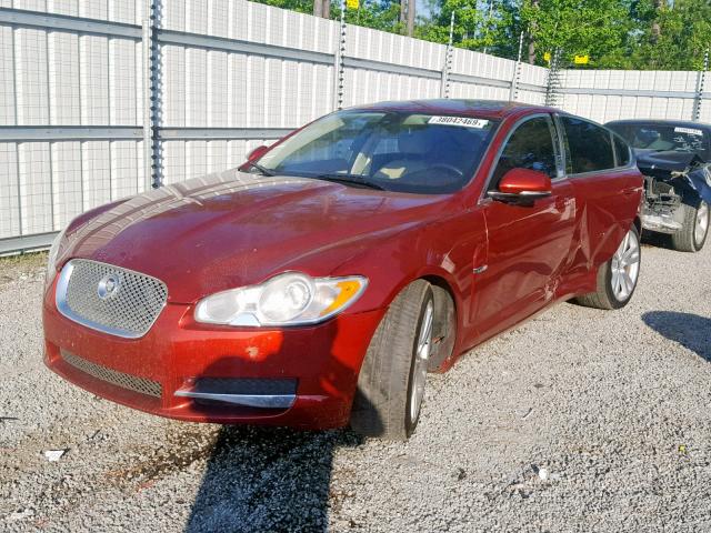 SAJWA0FA9AHR64799 - 2010 JAGUAR XF LUXURY BURGUNDY photo 2