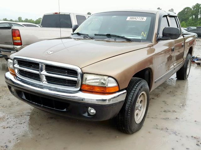 1B7GL2AN4YS754207 - 2000 DODGE DAKOTA QUA BROWN photo 2