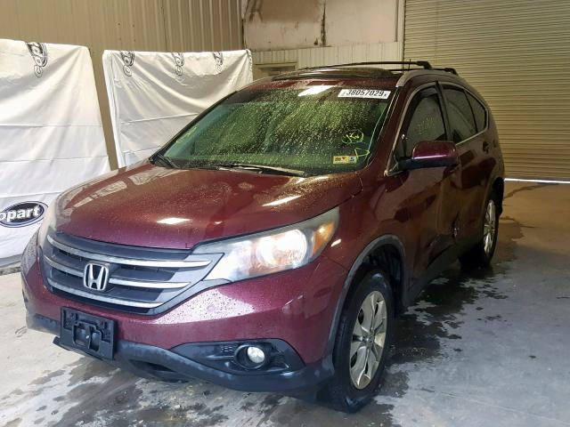 5J6RM4H70CL004888 - 2012 HONDA CR-V EXL PURPLE photo 2