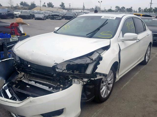 1HGCR2F84FA210701 - 2015 HONDA ACCORD EXL WHITE photo 2