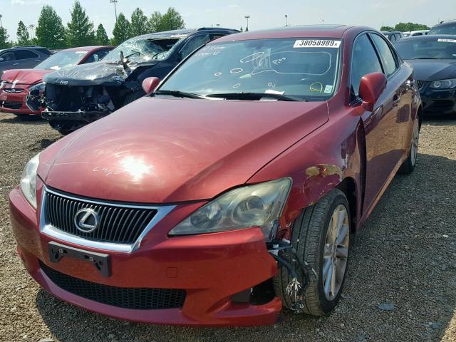 JTHCF5C2XA5038439 - 2010 LEXUS IS 250 RED photo 2