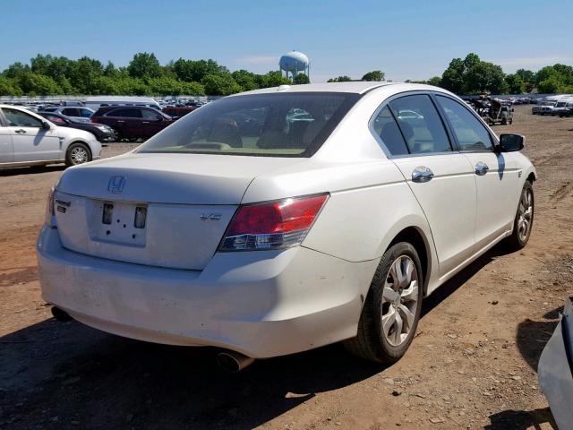 1HGCP36868A080774 - 2008 HONDA ACCORD EXL WHITE photo 4