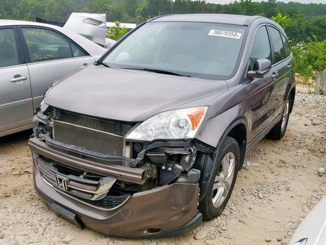 5J6RE3H72BL033962 - 2011 HONDA CR-V EXL BROWN photo 2