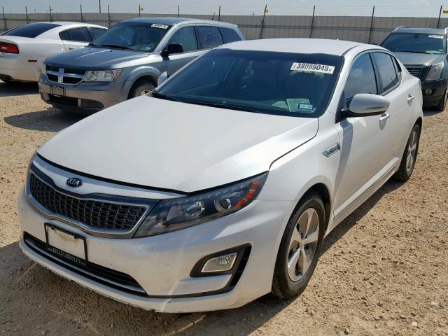 KNAGM4AD9F5088163 - 2015 KIA OPTIMA HYB WHITE photo 2