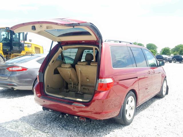 5FNRL38885B117215 - 2005 HONDA ODYSSEY TO BURGUNDY photo 4