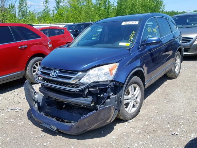 5J6RE3H72BL006616 - 2011 HONDA CR-V EXL BLUE photo 2