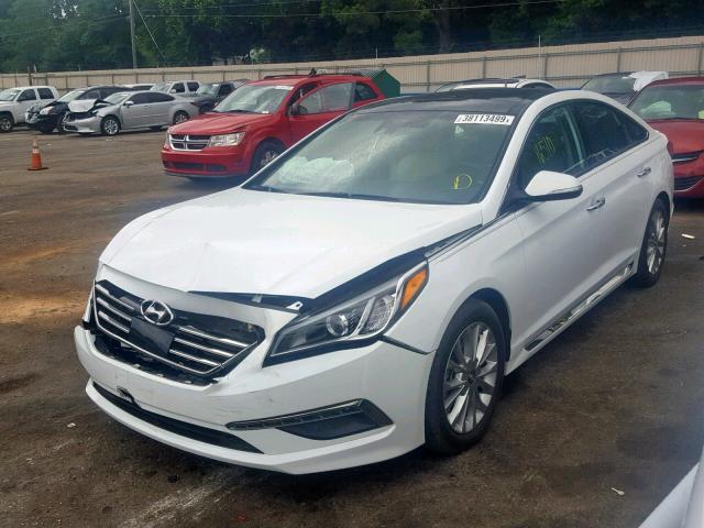 5NPE34AF3FH097407 - 2015 HYUNDAI SONATA SPO WHITE photo 2