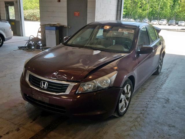 1HGCP2F88AA111023 - 2010 HONDA ACCORD EXL BURGUNDY photo 2