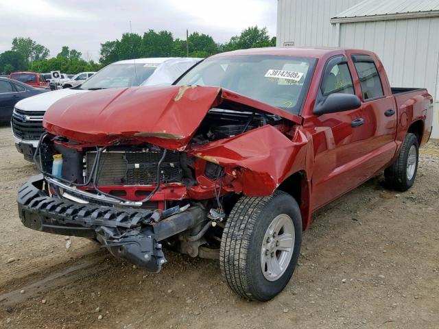 1D7HW38K28S520246 - 2008 DODGE DAKOTA SXT RED photo 2