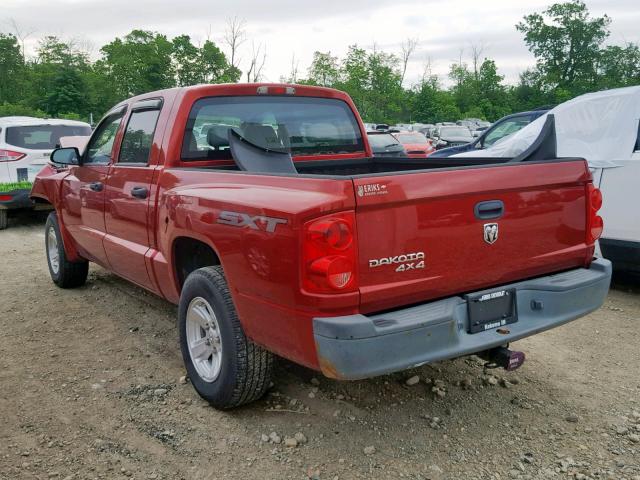 1D7HW38K28S520246 - 2008 DODGE DAKOTA SXT RED photo 3