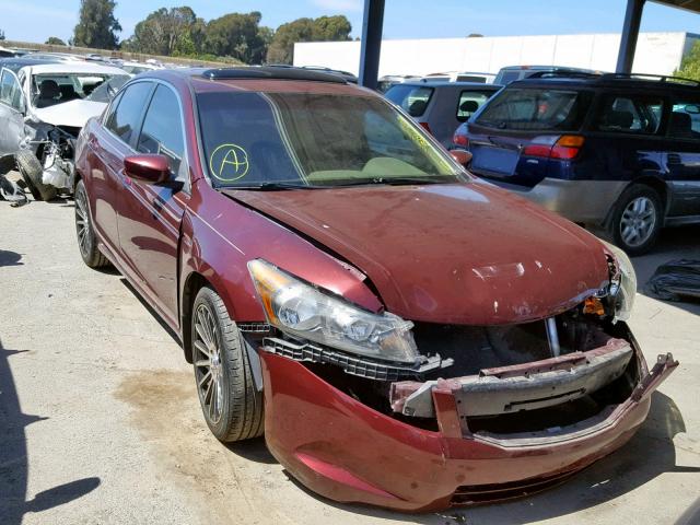 1HGCP26879A063123 - 2009 HONDA ACCORD EXL BURGUNDY photo 1