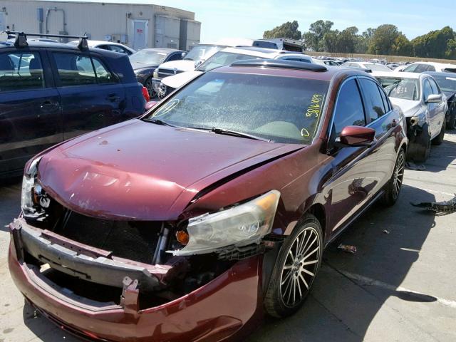 1HGCP26879A063123 - 2009 HONDA ACCORD EXL BURGUNDY photo 2