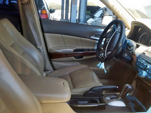 1HGCP26879A063123 - 2009 HONDA ACCORD EXL BURGUNDY photo 5