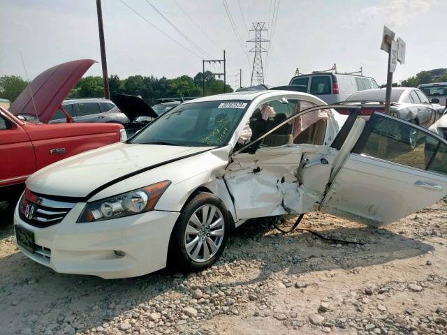 1HGCP3F81BA003107 - 2011 HONDA ACCORD EXL WHITE photo 2