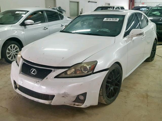 JTHBF5C22B5142484 - 2011 LEXUS IS 250 WHITE photo 2