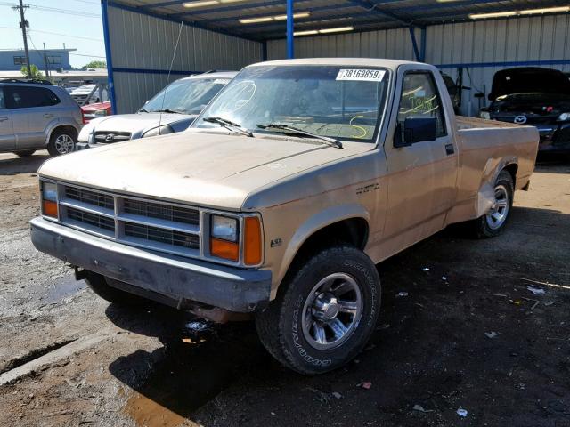 1B7GG26XXLS696756 - 1990 DODGE DAKOTA GOLD photo 2